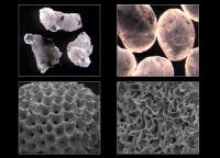 Soil in all shapes and sizes