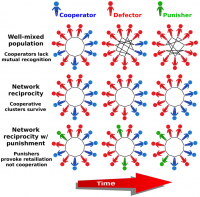 In the first group (Well-mixed) where the opponents were reshuffled each round, defectors prevailed over the course of 50 rounds. In the second group (Network reciprocity) where the opponents remained the same for the 50 rounds enabling them to identify cooperative neighbors, the cooperative cluster survived. In the third group (Network reciprocity with punishment), the option to punish opponents failed to boost cooperation.