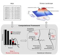 Fitness landscape of HIV envelope protein