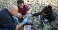 Soil team samples 