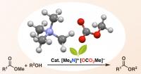 TMC catalyst for the trans-esterification