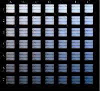 Which piece resembles your color perception for #theDress image?
