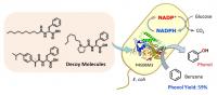 Phenol production using bacteria