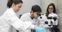 Researchers at work