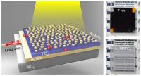Photoelectrode