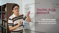 Professor Hajin Kim