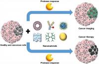 Nanovehicle