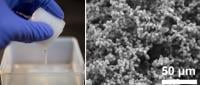 Simple, mass production of giant vesicles using a porous silicone material