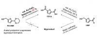 FDCA Reaction Pathways 