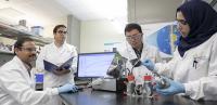 Authors busy in the lab