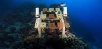 Reef Framework Assessment_1