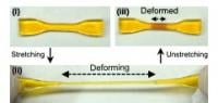 Double-network hydrogel