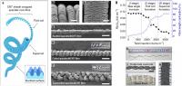 Schematic illustration and morphological information of supercoiled fibres