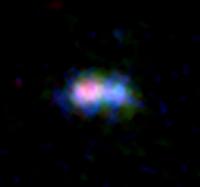 ALMA and Hubble Space Telescope (HST) image of the distant galaxy MACS0416_Y1