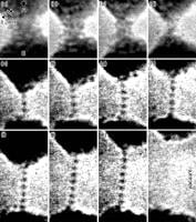 Image Name
