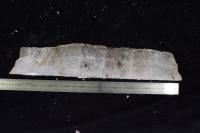 Ice Wedge