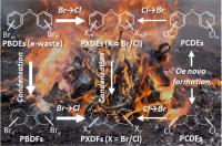  Formation of brominated, chlorinated and mixed halogenated diphenyl ethers and dibenzofurans during e-waste burning