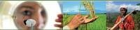 Image Name