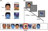 Image Name