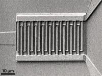 Image Name