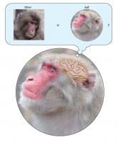 Image Name