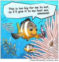 Anemonefish seem to understand what food to feed their host sea anemones for their mutual benefit.