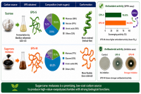 Carbon source shapes the structure and function of bacterial exopolysaccharides