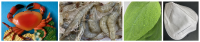 crab and leaf