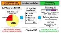 Overview of a framework for prioritizing variants of uncertain significance (VUS) identified by comprehensive genomic profiling (CGP)