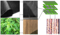 Carbon composites