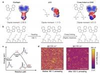 Chemical structures, electrostatic potentials and molecular dipoles of CbzNaph, JJ24 and the proposed cross-linked target product. 