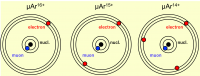 fig1