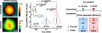 Figure. Exploring the effect of H2O2 eustress at single-cell level using hopping probe scanning ion conductance microscopy