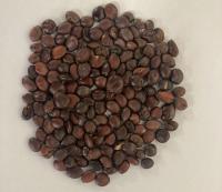  Traditional Chinese medicinal herb