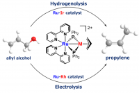 A new catalyst can selectively reduce allyl alcohol, leading to a bio-based propylene.