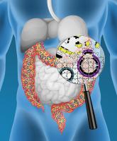 gut bacteria genome