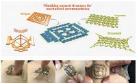 A smart wearable real-time diagnosis sensor applying complex nature-mimicking structure