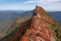 Taiwan: Species living in 17 mountains around the world are facing the risk of extinction due to the rapid rate of warming attributed to climate change. 