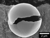 polymer capsule Kitayama
