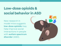 Low-dose opioids & social behavior in ASD