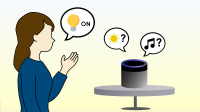 Using a voice-controlled smart speaker