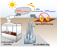 Biomass burning sources