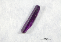 The CO2-absorbing soft crystal developed for this study (Photo: Shin-ichiro Noro).