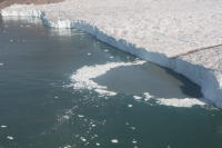 The studied subglacial discharge plume