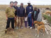 Shouta M. M. Nakayama (yellow hoodie), Haruya Toyomaki (black polo shirt) and Yared Beyene (blue jacket), along with dogs sampled in the study and the family that owns them (Photo: Shouta M. M. Nakayama).
