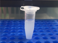 A suspension of lipid nanoparticles synthesized from the novel lipomer AA03-DL-10. Photo by Takuya Isono.