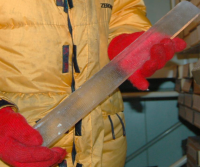 An ice core from the Greenland ice sheet (Photo: Tsutomu Uchida).
