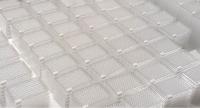 Microtiter plates that were used in the study for the assessment of antibiotic activity (Photo: Akira Katsuyama).