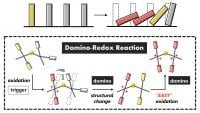 A domino reaction is a series of chemical reactions where each reaction triggers the next reaction in the series, like falling dominoes (top). In a domino redox reaction, each reaction causes a structural change that triggers the next redox reaction in the series (bottom). (Takashi Harimoto, et al. Angewandte Chemie International Edition. November 28, 2023)