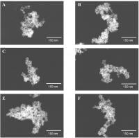 Shaped nanoparticles created by the novel method described in the study. (Rumana Akter, et al. Nanoscale Horizons. May 23, 2024)